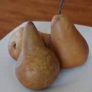 Pyrus x. 'Bosc' Pyrus x. 'Bosc'