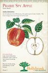 Malus domestica 'Prairie Spy' Malus domestica 'Prairie Spy'