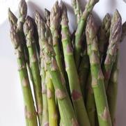 Asparagus Asparagus