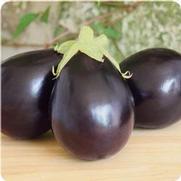 Eggplant 