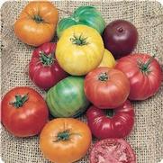 Tomato-Heirloom Tomato-Heirloom
