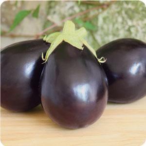Eggplant Eggplant from Moose Crossing Garden Center