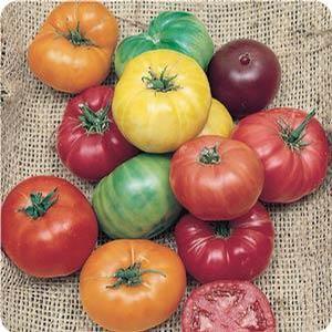 Tomato-Heirloom Tomato-Heirloom from Moose Crossing Garden Center